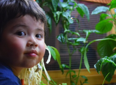 smiling boy with green plants in the background